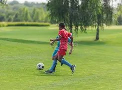 盧克,肖續約曼聯,四年忠诚之,V体育,V体育app,V体育官网,V体育下载,V体育入口