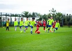 深度解析,揭秘战局,比分揭秘与,V体育,V体育app,V体育官网,V体育下载,V体育入口