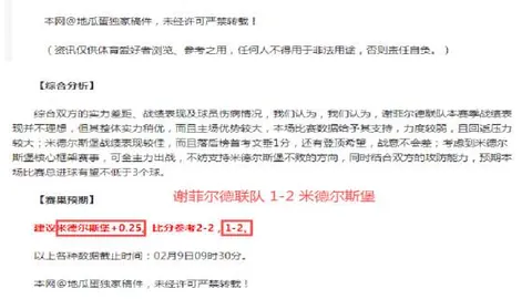 阿圭罗战队力克纳达尔战队，夺得板式网球赛桂冠