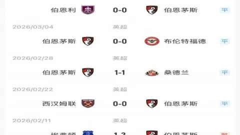 羅伊斯能否征戰2025年世界杯？